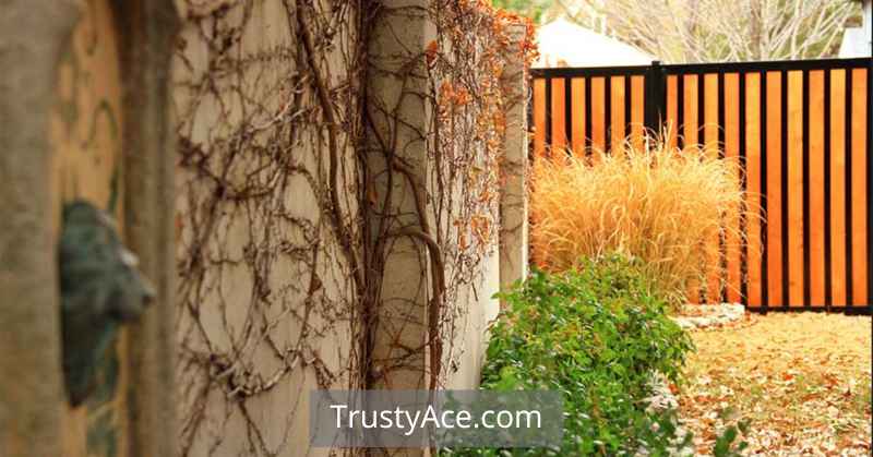 Wood Fence Ideas Wrought Iron