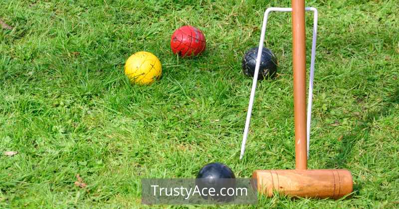 Best Croquet Sets Hoops And Wickets