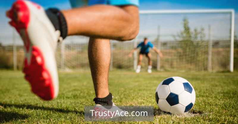 Best Soccer Rebounder Conclusion