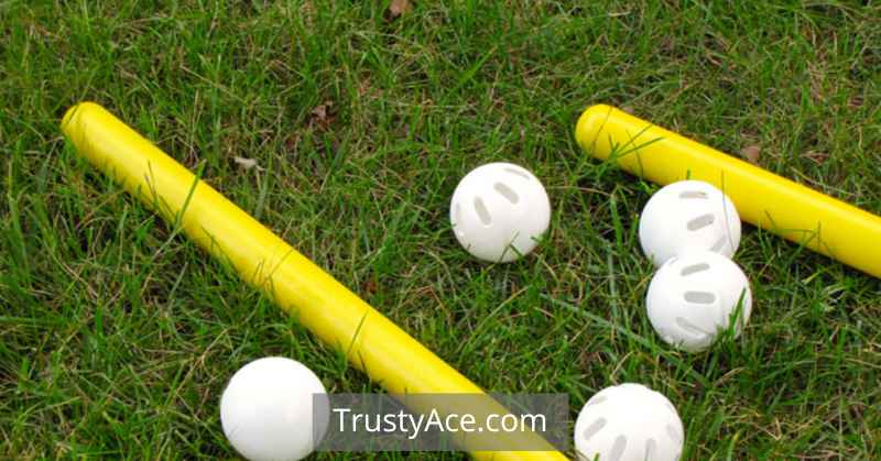 Best Wiffle Ball Bat And Balls