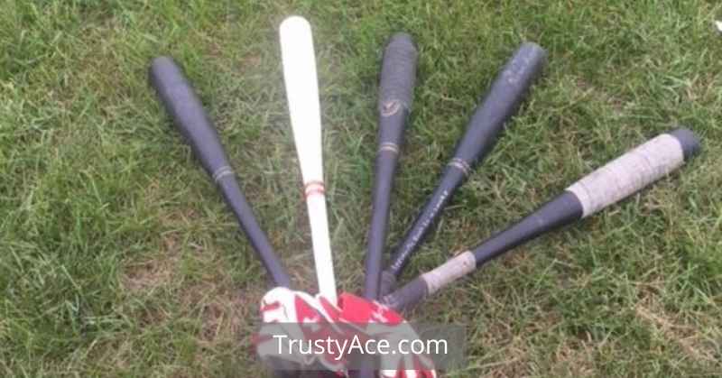 Easton Wiffle Ball Bat Review