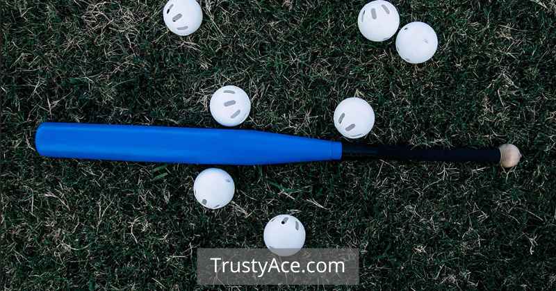 GTSOH Wiffle Ball Bat Review